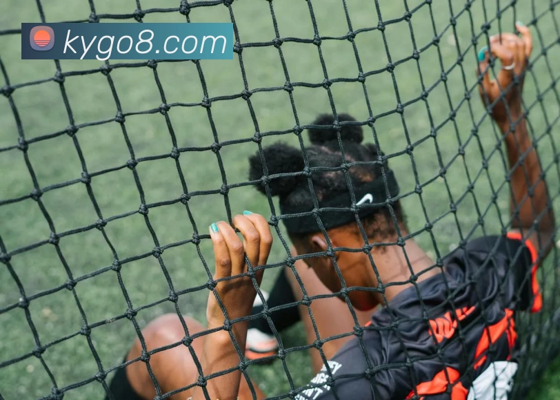 快盈VIII官网平台生态图